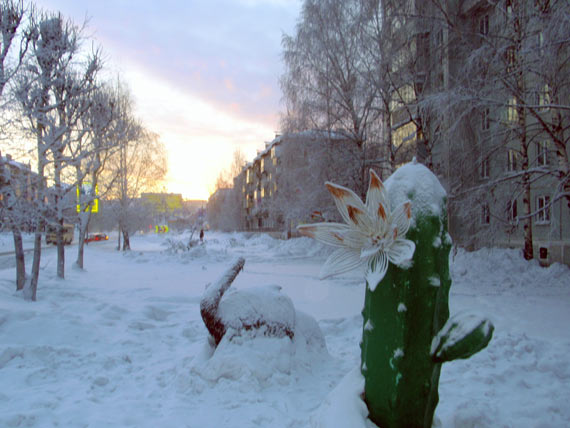 Free Speech. ������� �����.