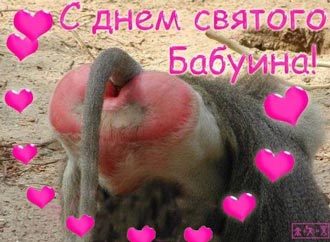 Free Speech. ������� �����. ���� ������ ����������.