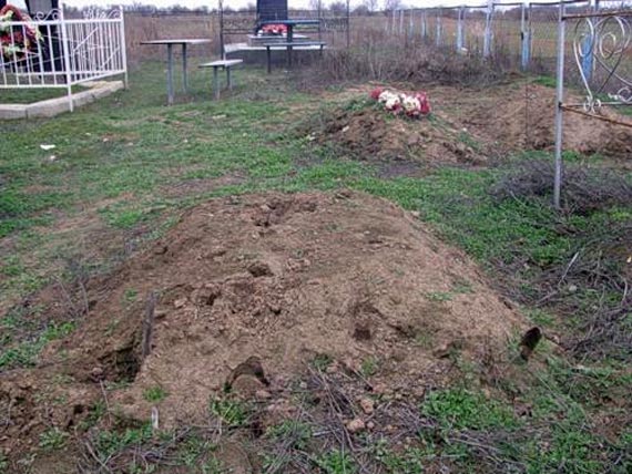 Free Speech. ������� �����. ���� ������ ����������.