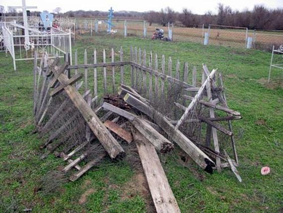 Free Speech. ������� �����. ���� ������ ����������.