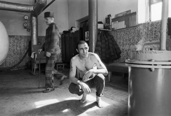 Free Speech. ������� �����. ���� ������ ����������.