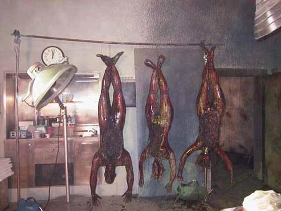 Free Speech. ������� �����. ���� ������ ����������.