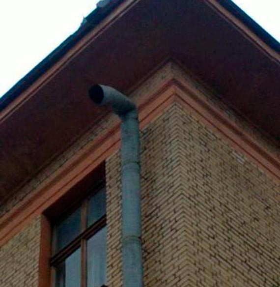 Free Speech. ������� �����. ���� ������ ����������.