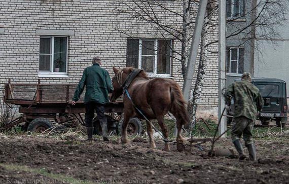 Free Speech. ������� �����. ���� ������ ����������.