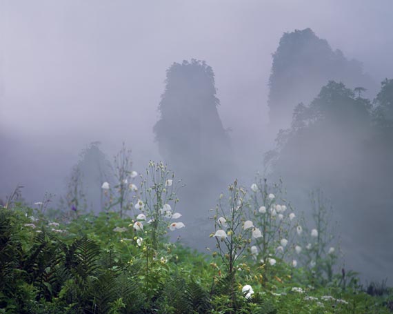 Free Speech. ������� �����. ������ ����. ������ ����������.