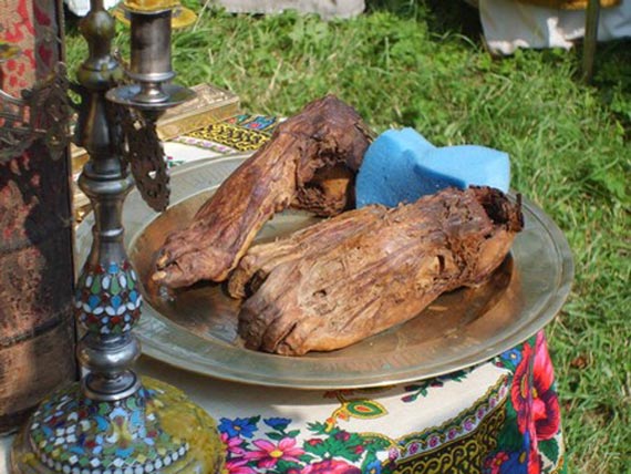 Free Speech. ������� �����. ������ ����������. ��� � ������ ���� �������.