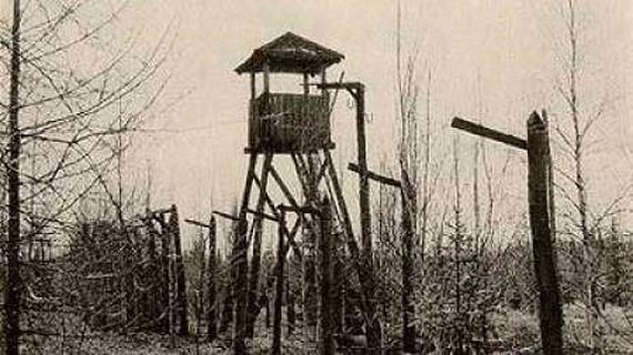 Free Speech. ������� �����. ���� ������ ����������. �����.