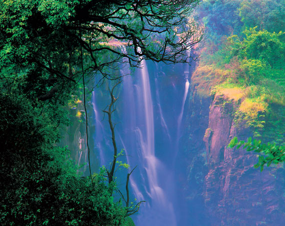 Free Speech. ������� �����. ���� ������ ����������.