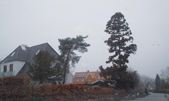 Free Speech. ������� �����. ���� ������ ����������.