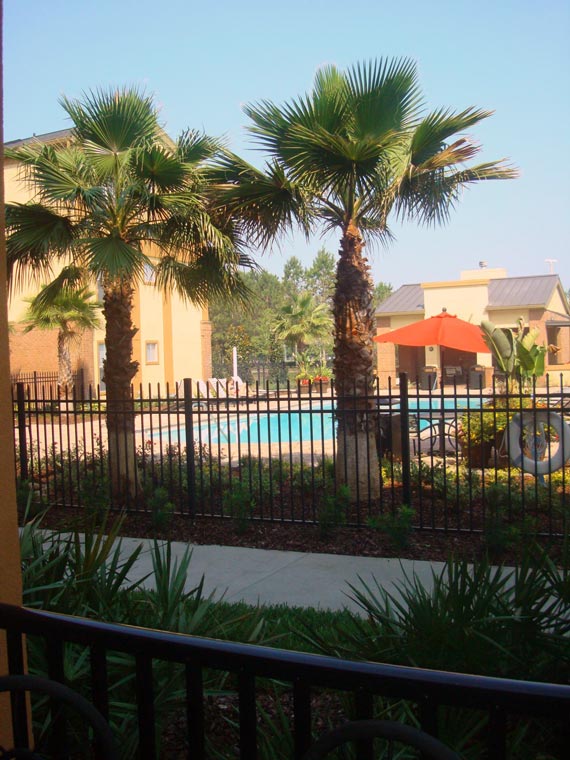 Free Speech. ������� �����. ���� ������ ����������.