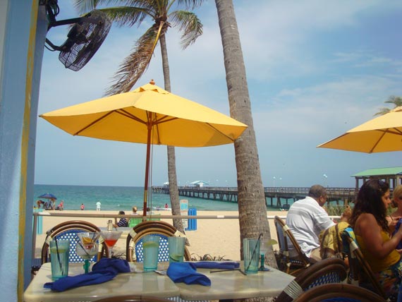 Free Speech. ������� �����. ���� ������ ����������.