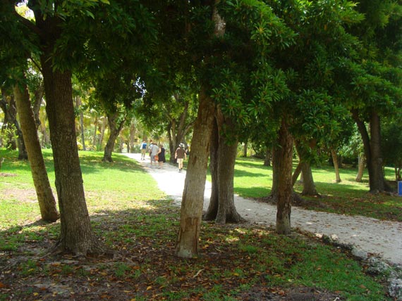 Free Speech. ������� �����. ���� ������ ����������.