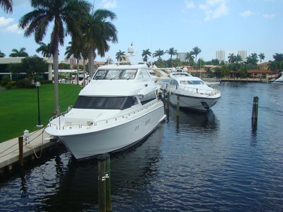 Free Speech. ������� �����. ���� ������ ����������.