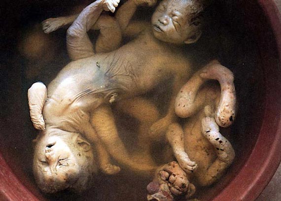 Free Speech. ������� �����. ������ ������� ����.