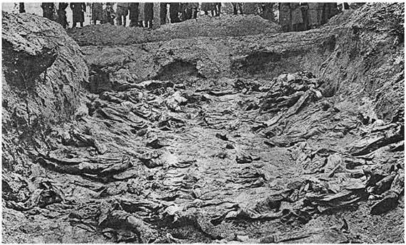 Free Speech. ������� �����. ������.