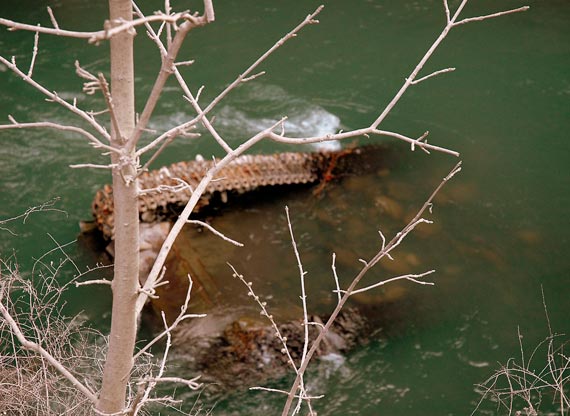 Free Speech. ������� �����. ���� ������ ����������.