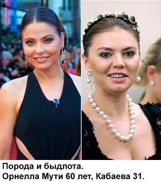 Free Speech. ������� �����. ���� ������ ����������.