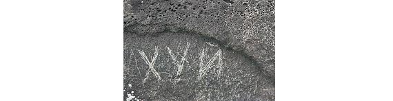 Free Speech. ������� �����.