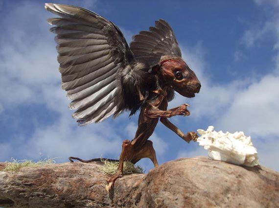 Free Speech. ������� �����. ���� ������ ����������.