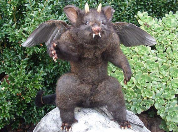 Free Speech. ������� �����. ���� ������ ����������.