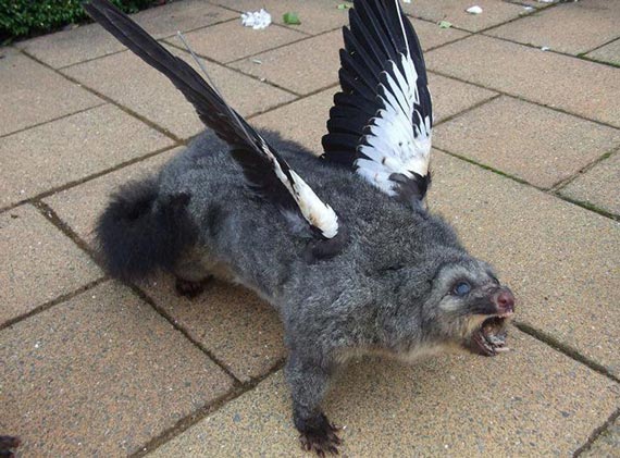 Free Speech. ������� �����. ���� ������ ����������.