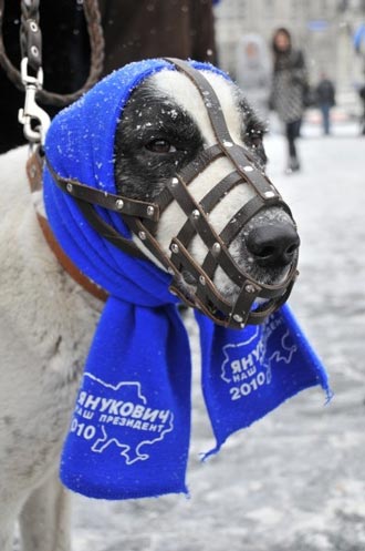 Free Speech. ������� �����. ���� ������ ����������.