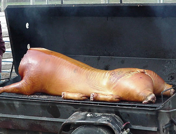 Free Speech. ������� �����. ���� ������ ����������.