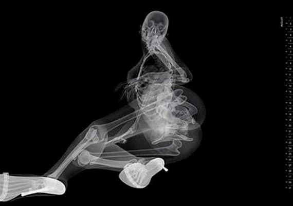 Free Speech. ������� �����. ���� ������ ����������.