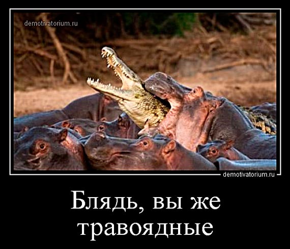 Free Speech. ������� �����. ���� ������ ����������.