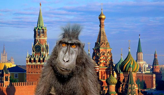 Free Speech. ������� �����. ���� ������ ����������.