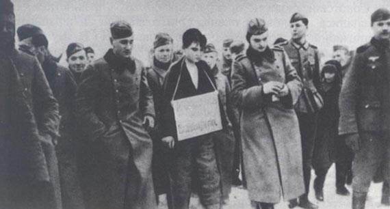 Free Speech. ������� �����. ��������� �����. ��� � ������� ��� ���������������.