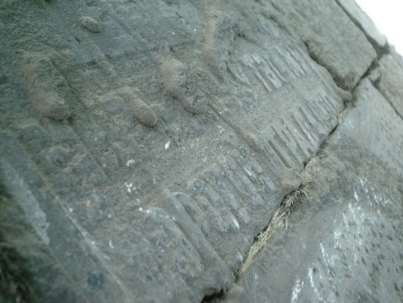 Free Speech. ������� �����. ������ ����. ��������� ������.