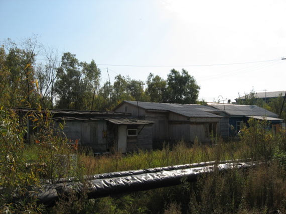 Free Speech. ������� �����. �������������. ���� ������ ����������.