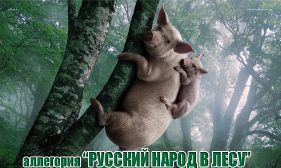 Free Speech. ������� �����. ���� ������ ����������.