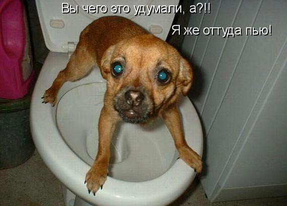 Free Speech. ������� �����. ���� ������ ����������.