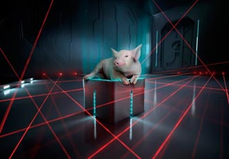 Free Speech. ������� �����. ���� ������ ����������.