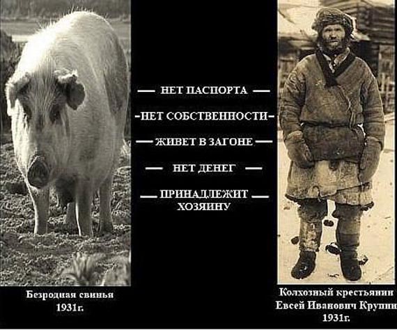 Free Speech. ������� �����. ���� ������ ����������.