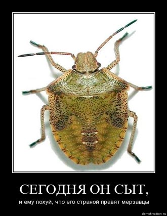 Free Speech. ������� �����. ���� ������ ����������.